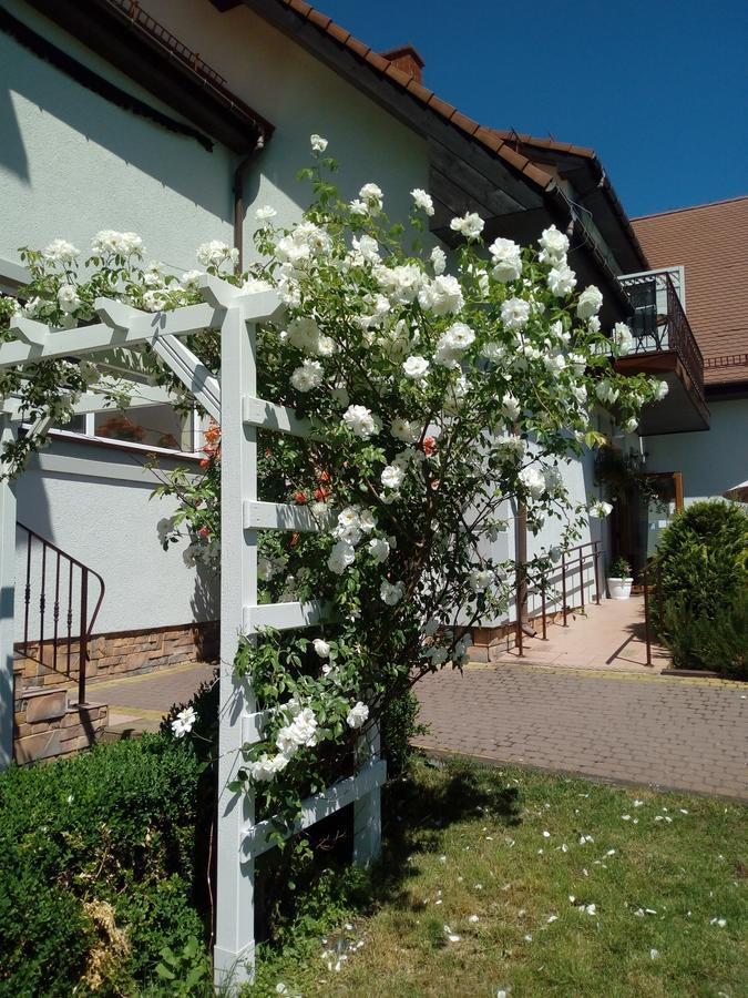 Artemis Bed & Breakfast Drawsko Pomorskie Exterior photo